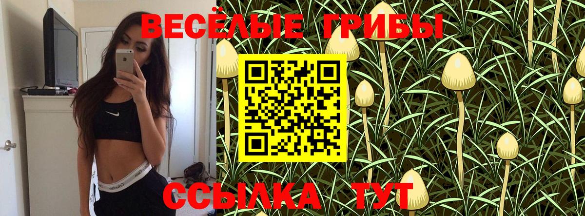 Торжок  Галлюциногенные грибы Magic Shrooms  Вход с VPN 